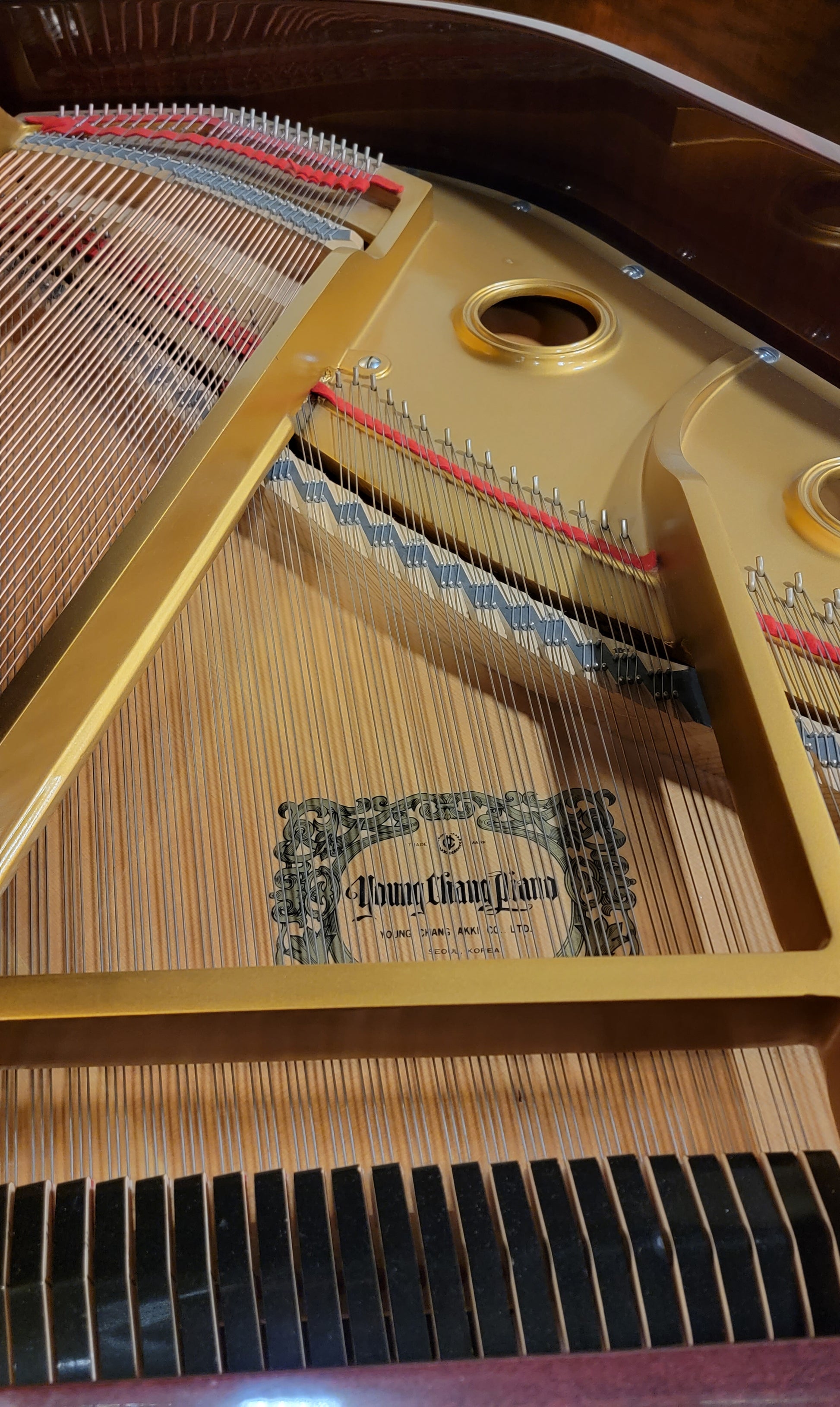 Cheap baby grand by Young Chang