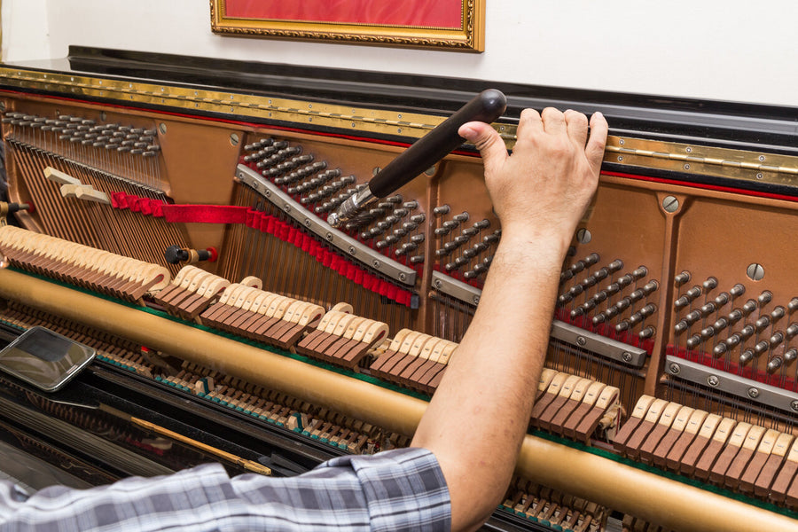 Steingraeber, Grotrian, or Estonia Pianos: Ensuring Longevity through Effective Maintenance
