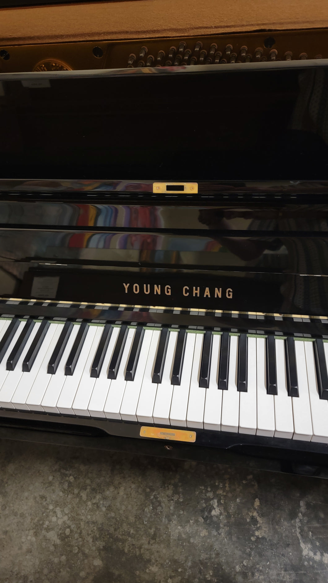 YOUNG CHANG | U107 | HIGH POLISH EBONY | 43