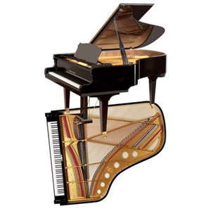Steingraeber | 192 | 6'3" Grand Piano