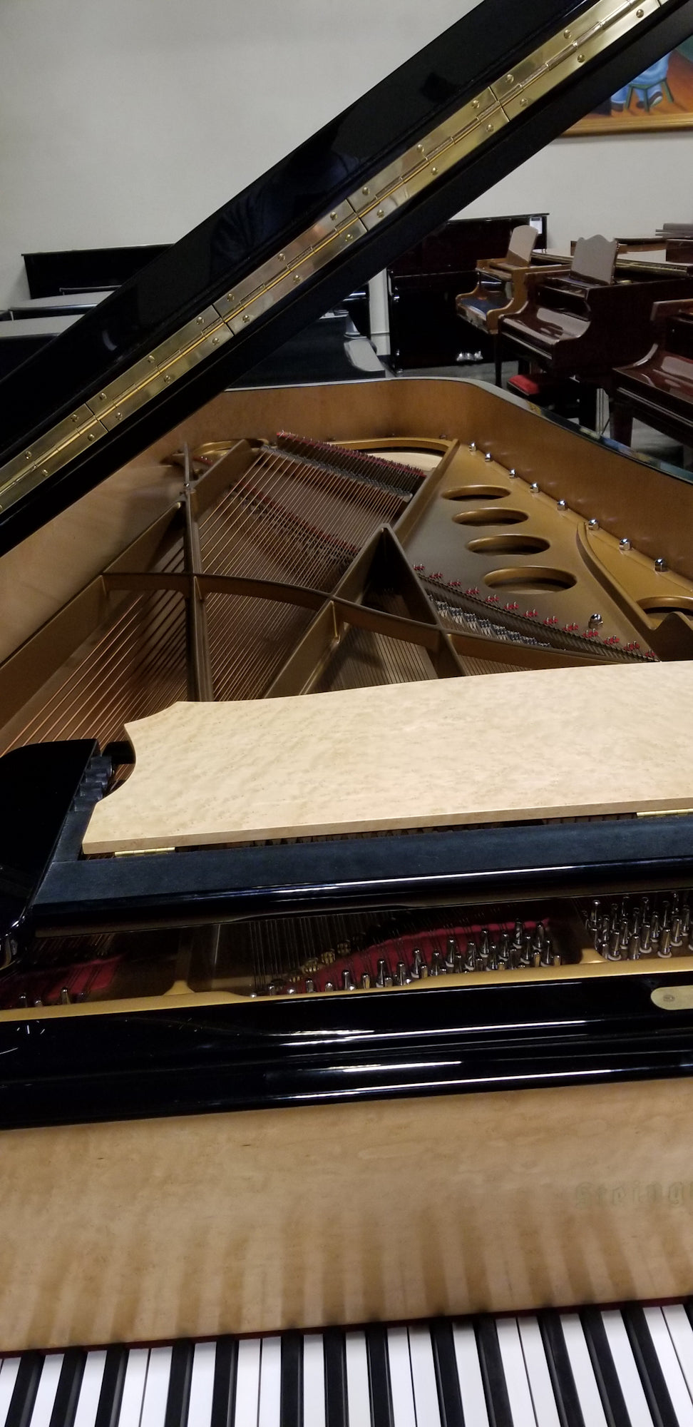 STEINGRAEBER | 2008 | E-272 9 FT CONCERT GRAND PIANO | CUSTOM HIGH POLISH EBONY | $119,000